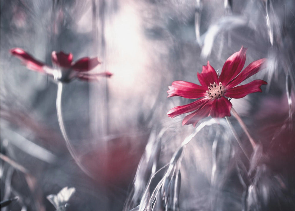 Seduction games | Canvas