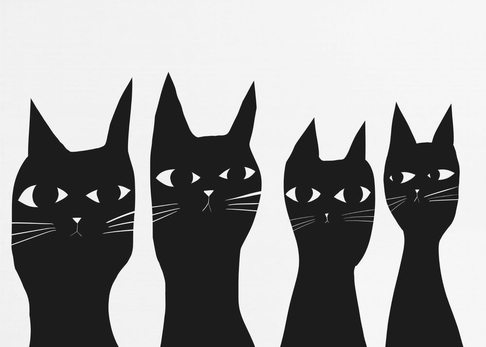 Four black cats | Canvas