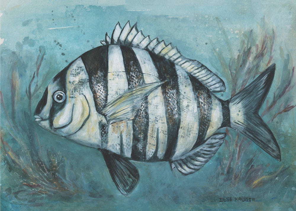 Striped Sea Beauty | Canvas