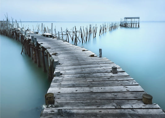 Carrasqueira II | Wallpaper