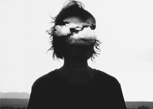 Emanzanera Portrait Of An Absence | Canvas