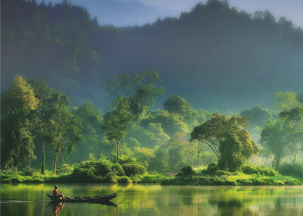 Painting of Nature | Canvas