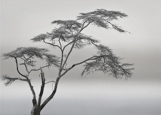 a very long story | Poster