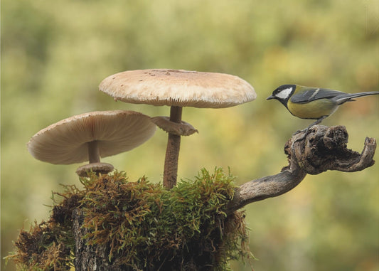 My small part of the world | Wallpaper