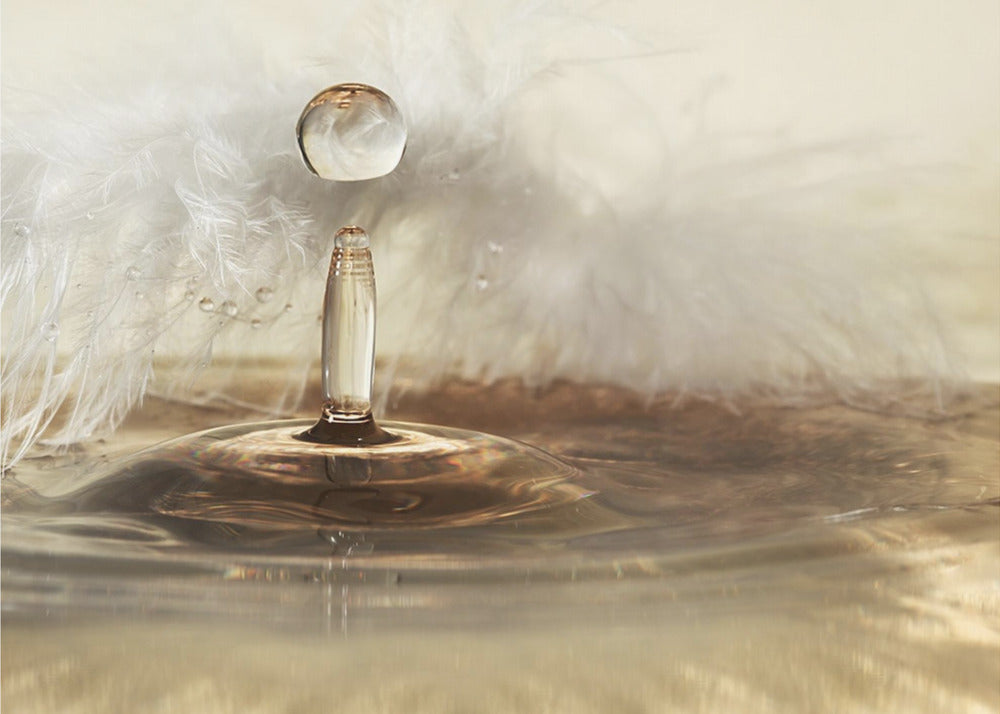 Golden featherdrops | Canvas