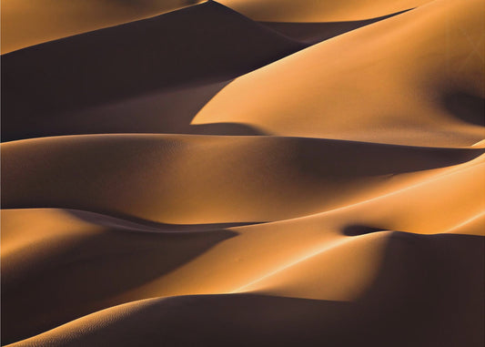 Light and Shadow | Wallpaper