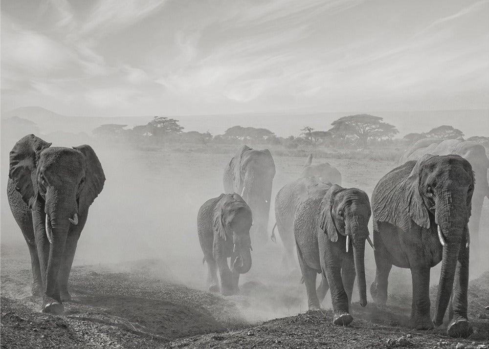 Sequence of emotion | Wallpaper