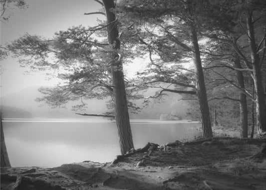 Loch an Eilein | Wallpaper