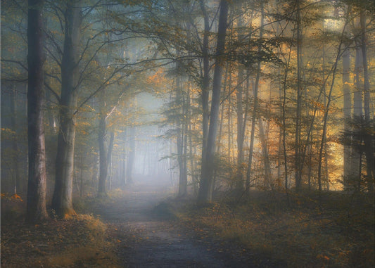 autumn symphony | Poster