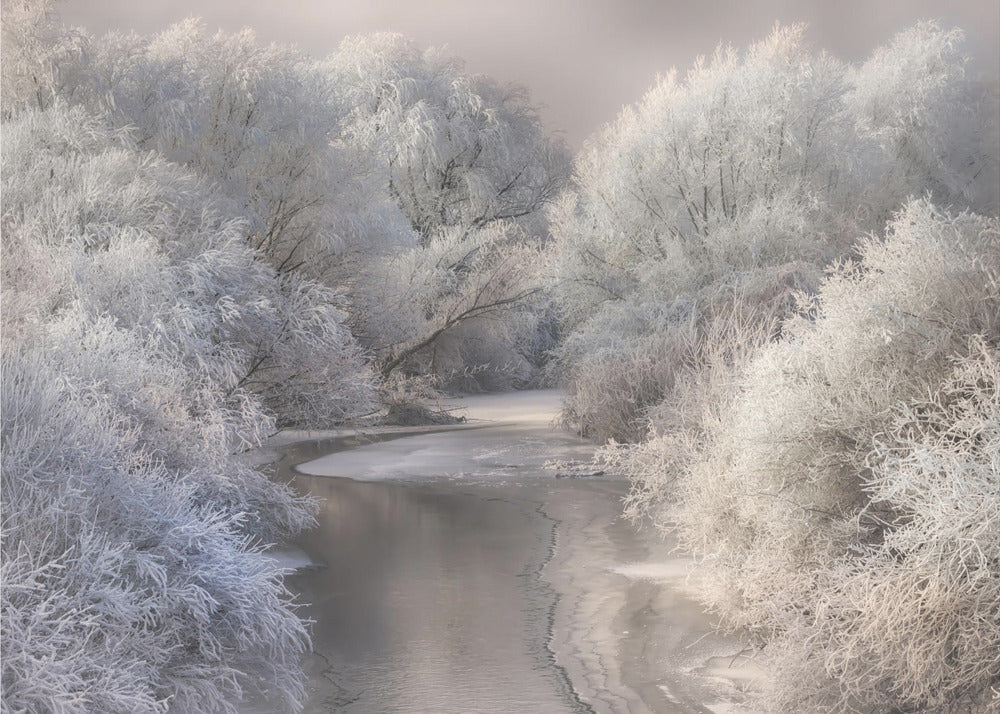 Winter Song | Poster