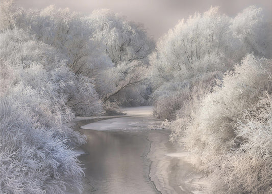 Winter Song | Wallpaper