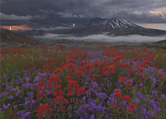 Apocalypse Now | Poster