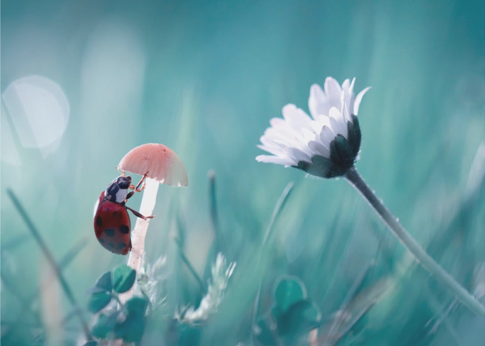 Speed dating | Canvas