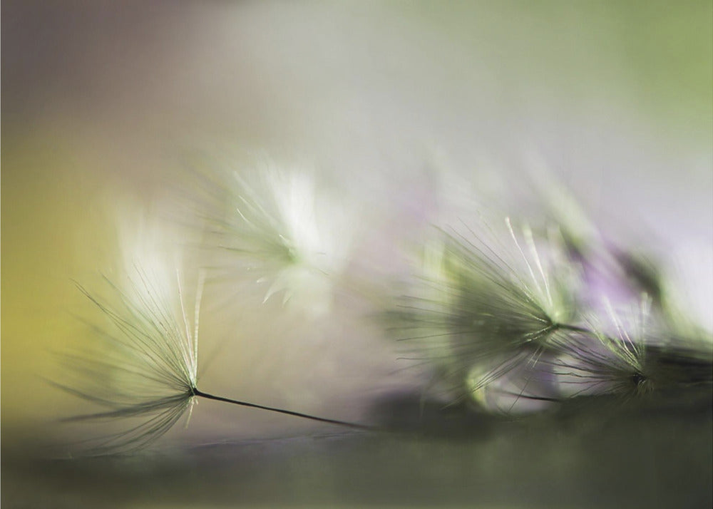 In the morning | Canvas