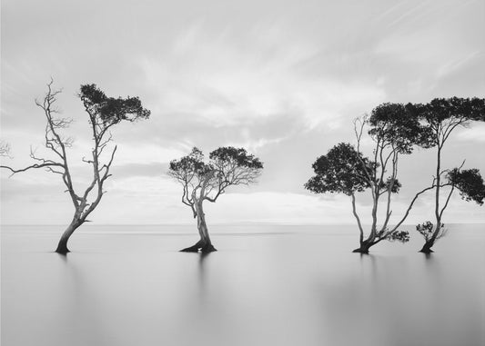 Drowning Not Waving | Poster