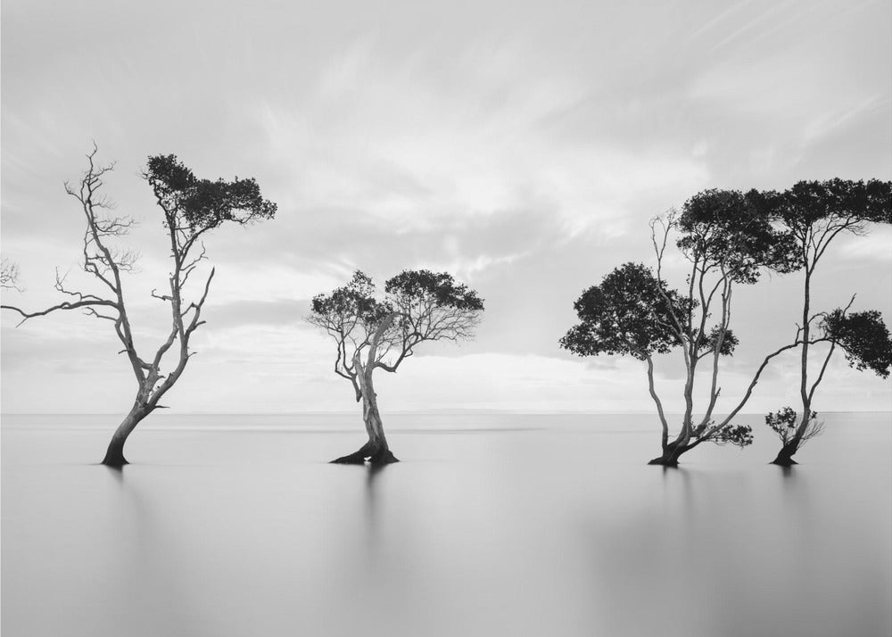 Drowning Not Waving | Canvas