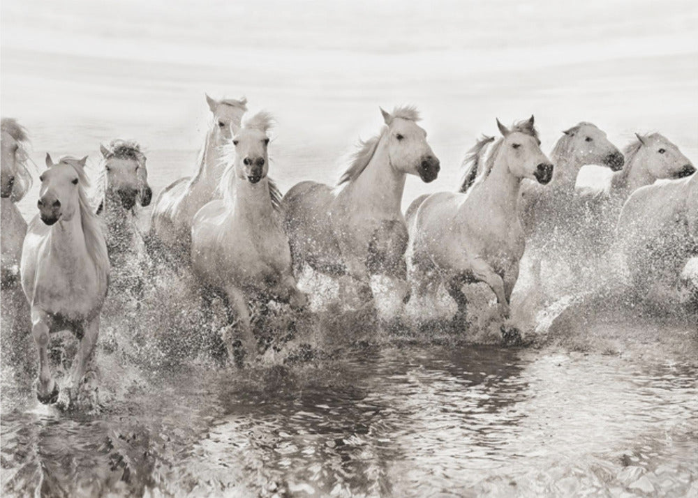 Illusion of power (13 horse power though) | Canvas