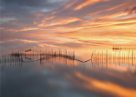 Fishnets | Wallpaper