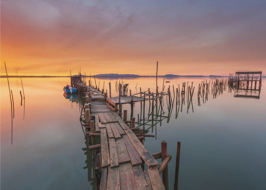 The last... Light | Wallpaper