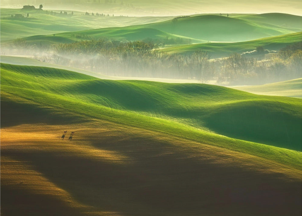 Freedom.... | Poster