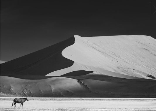 The Solitary | Wallpaper