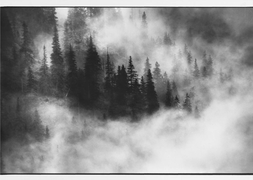 Agharta III | Canvas