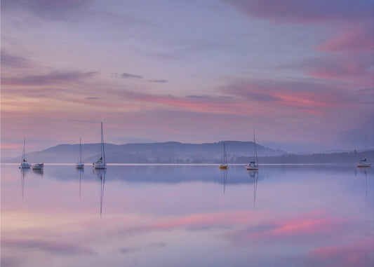 Morning Mood | Poster