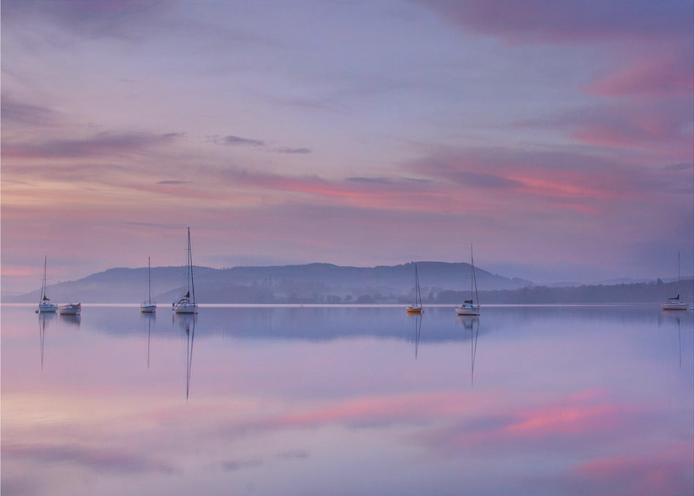 Morning Mood | Poster