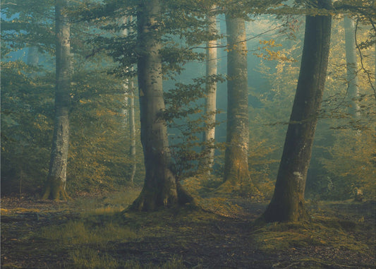 october colors | Poster