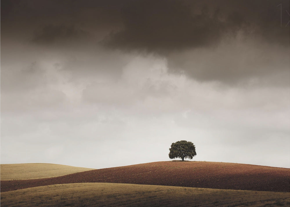 Tuve Que Pararme al Verla | Canvas