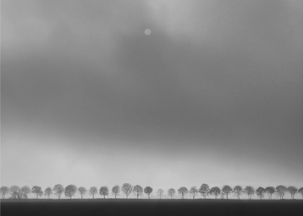 Polderlandscape | Poster