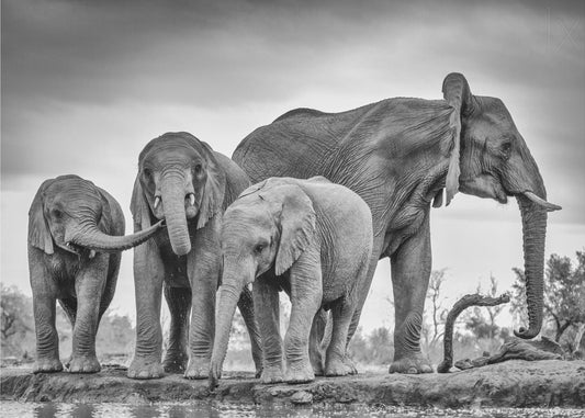 A Giant Unity | Canvas