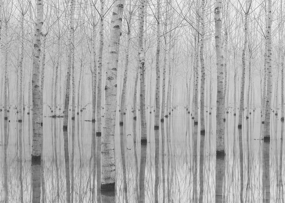 Novembre 2014 | Poster