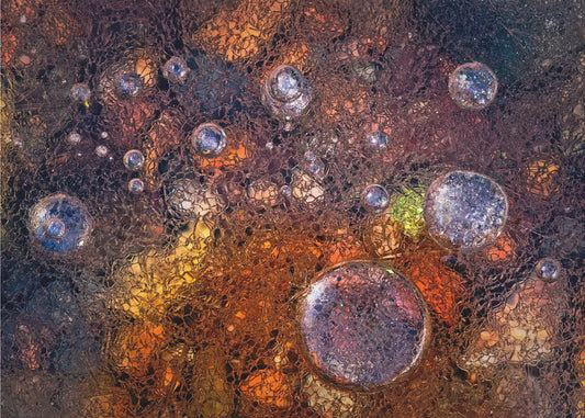 Winter Over Autumn | Poster