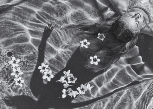 Frangipani tree | Wallpaper