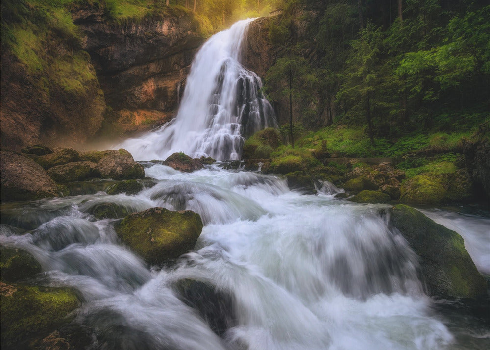 Spring Flood | Canvas