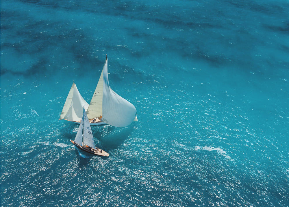 Croisement bleu | Poster