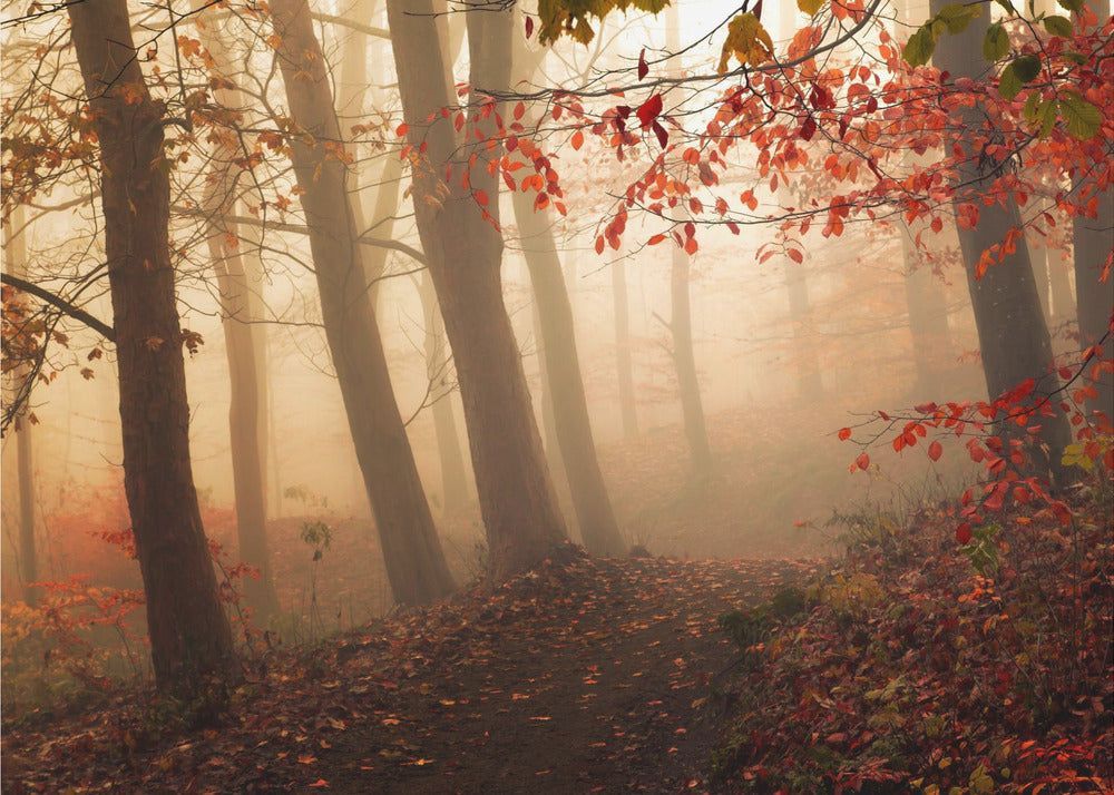 Towards the light. | Wallpaper