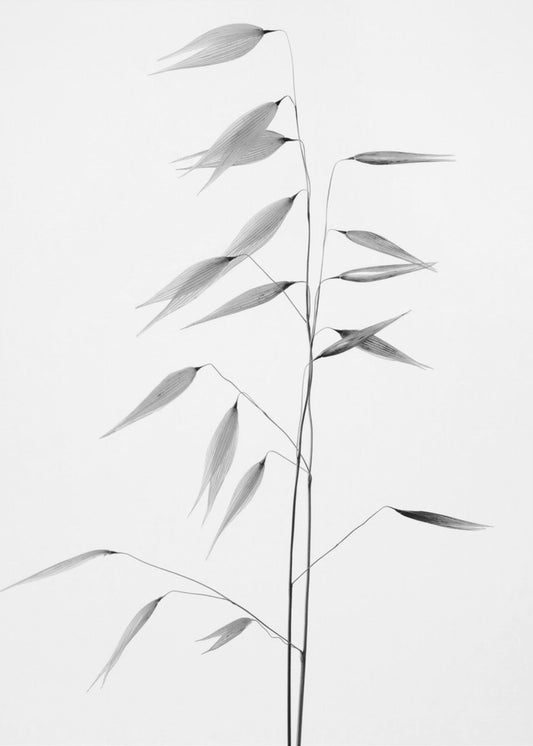 Sharpness of the nature | Canvas