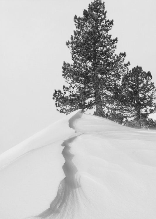 About the snow and forms | Poster