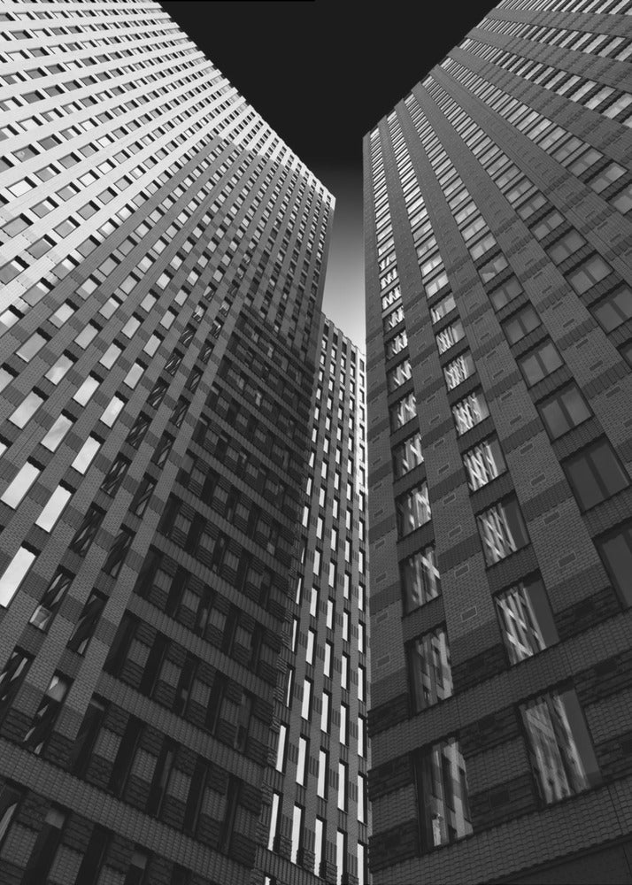 Between giants | Canvas