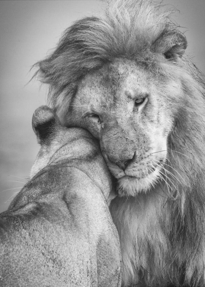 African Love! | Poster