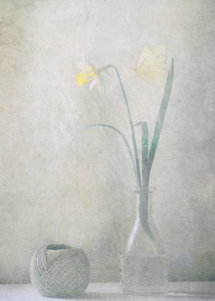 Spring at Home | Poster