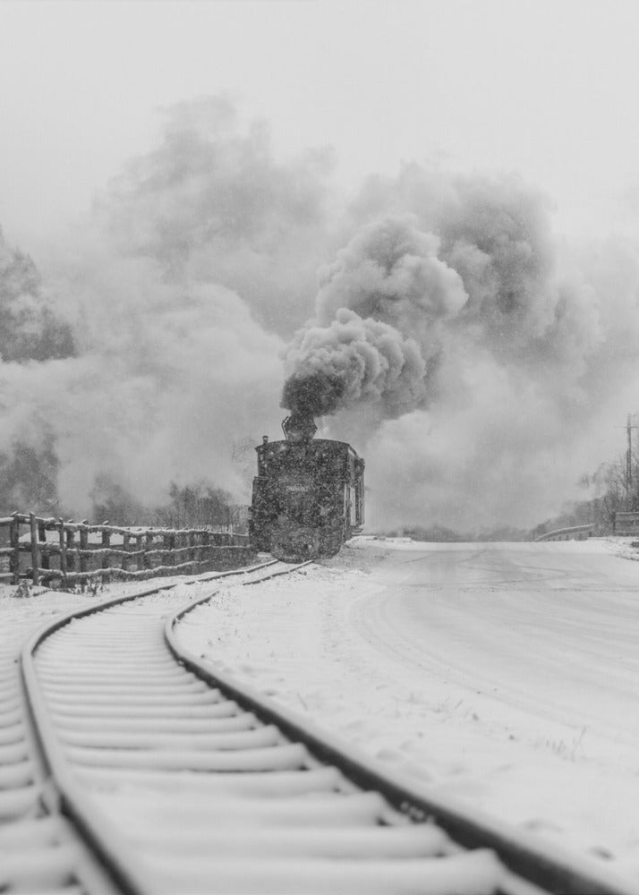 Mocanita Hutulca | Canvas