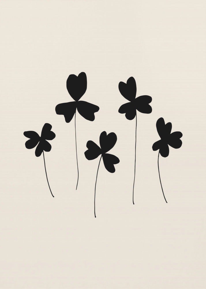 Black Sorrel | Poster