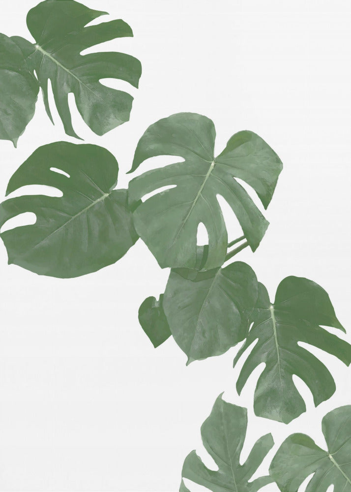 Monstera Aqua 02 | Canvas