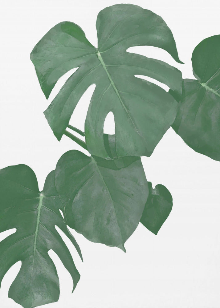 Monstera Aqua 01 | Poster