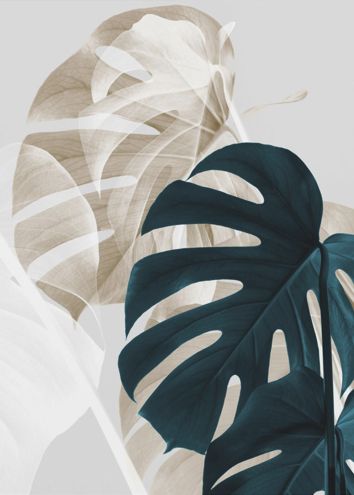 Monstera Creative 05 | Canvas