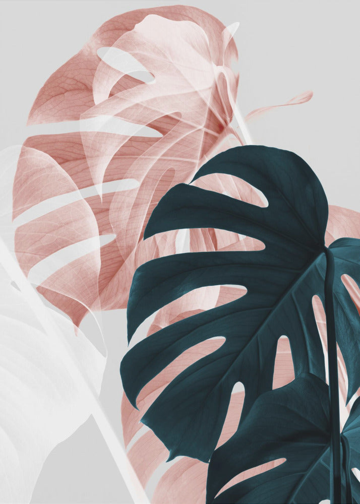 Monstera Creative 09 | Poster