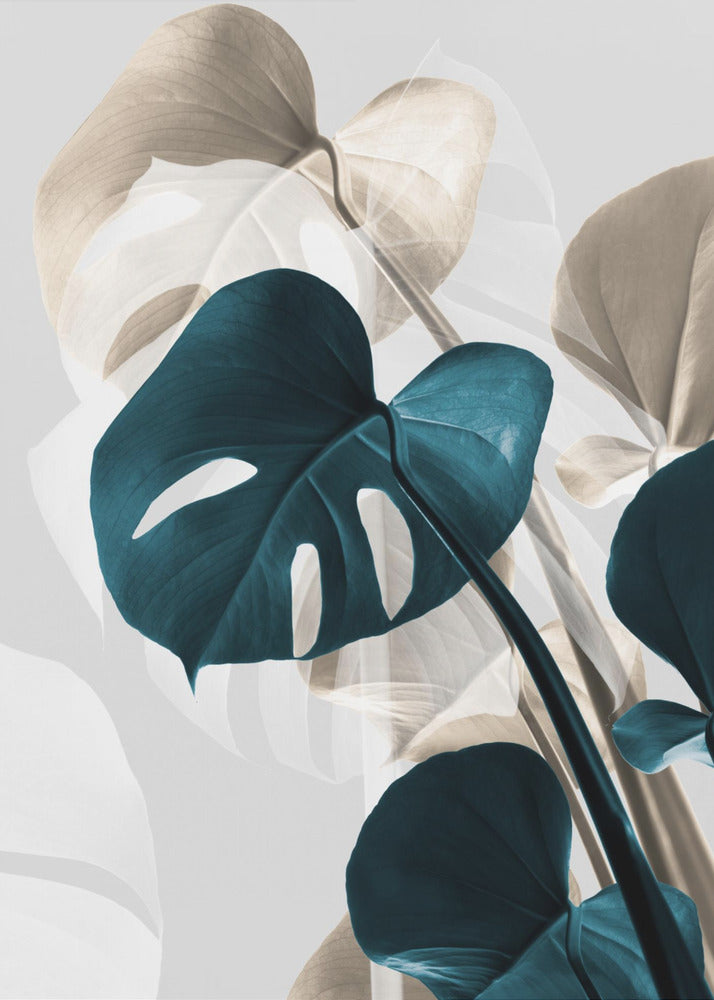 Monstera Creative 10 | Poster
